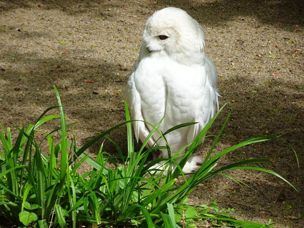 Photograph by Мила Милая