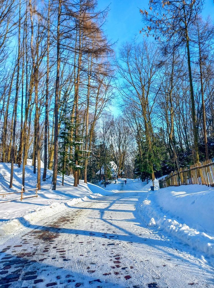 Photograph by Елена Шерман