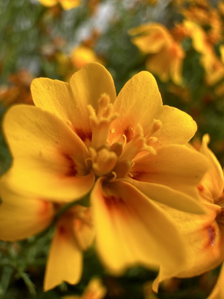 Photograph by Екатерина Балакина