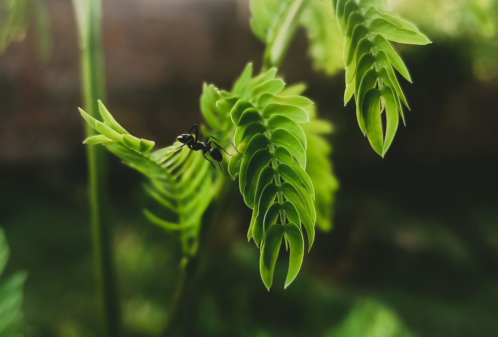 Фотография автора Rajvardhan Singh