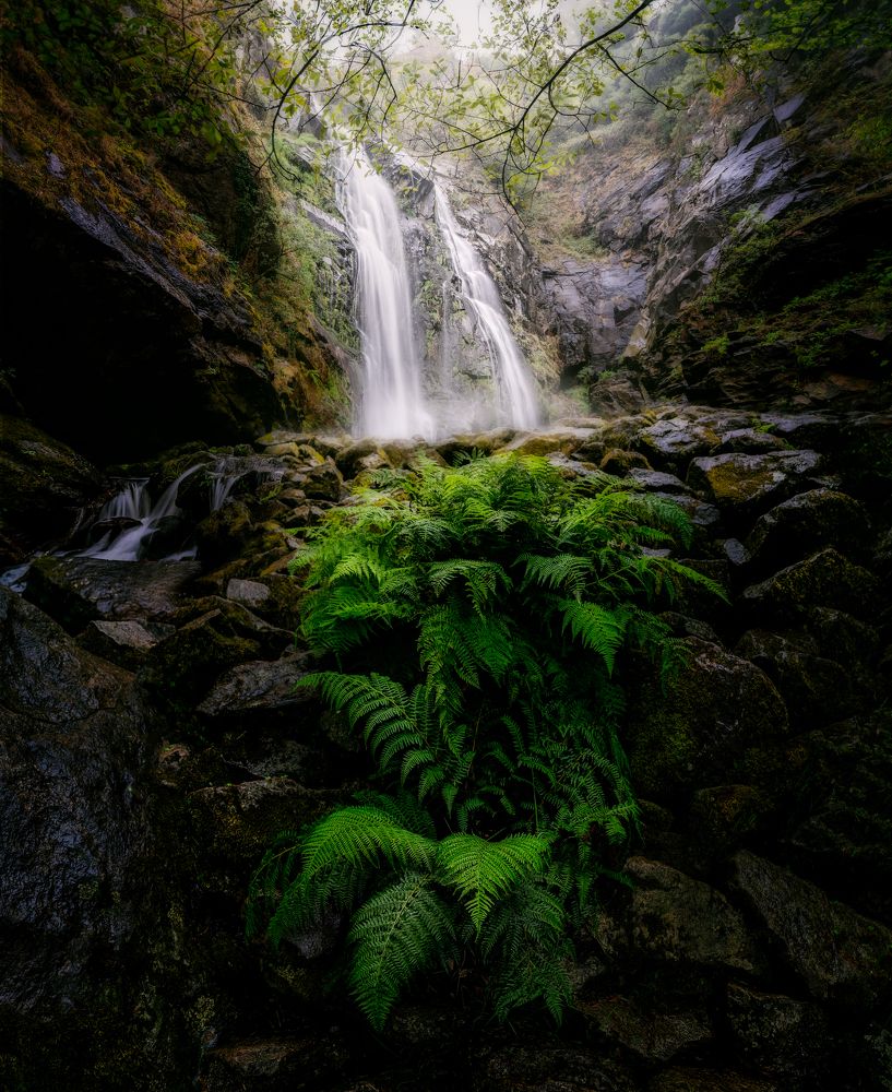 Фотография автора Jorge Rey Azabal