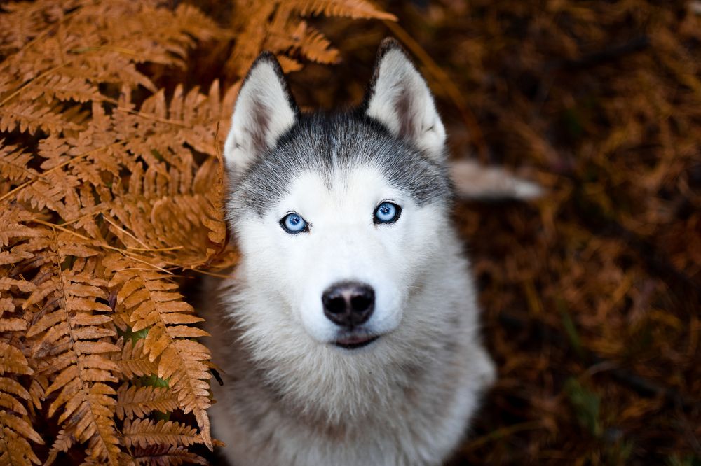 Фотография автора Климова Мария