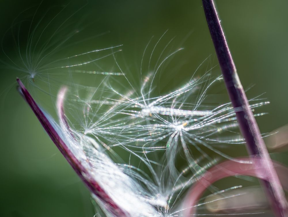 Photograph by Irina Luidinshina