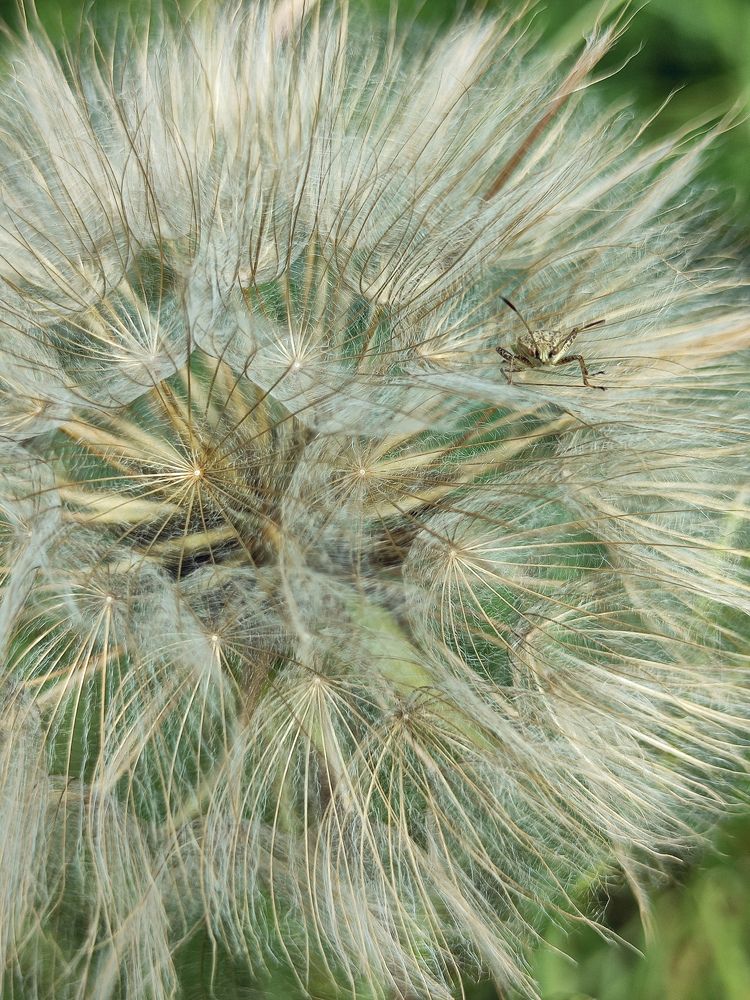 Photograph by Екатерина