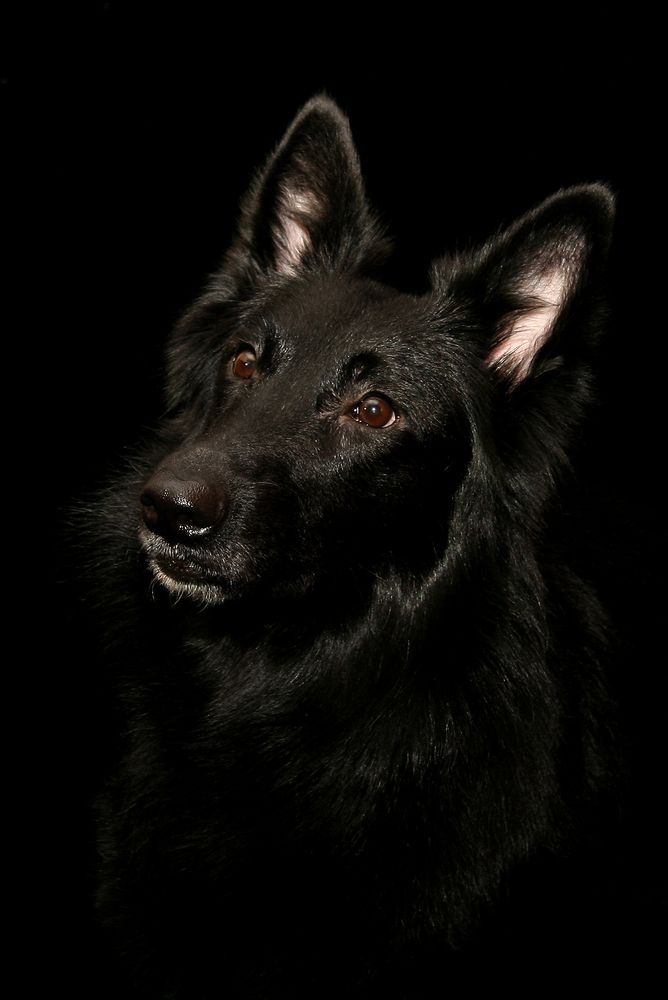 Фотография автора Надежда Лисицына