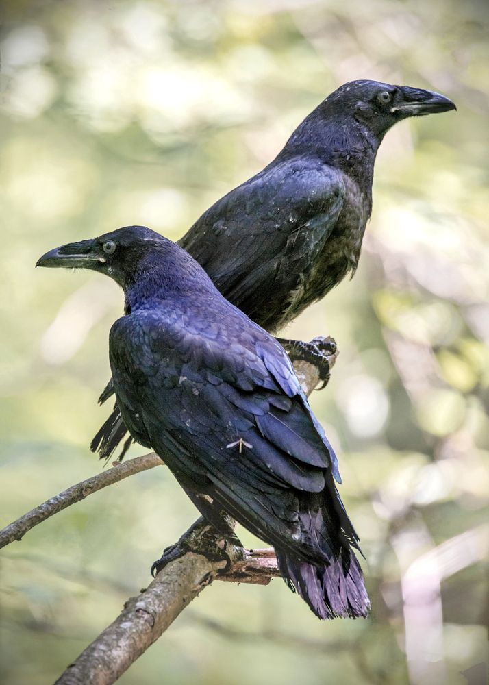 Photograph by Белевитин Михаил