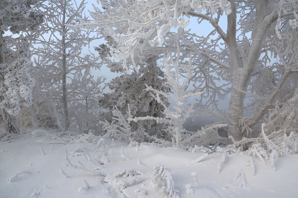 Photograph by Александр Попов