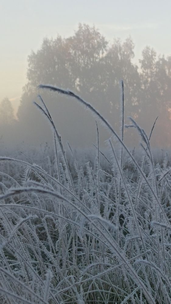 Photograph by Eлена Смирнова