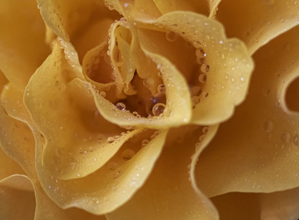 Photograph by Юлия Куликова