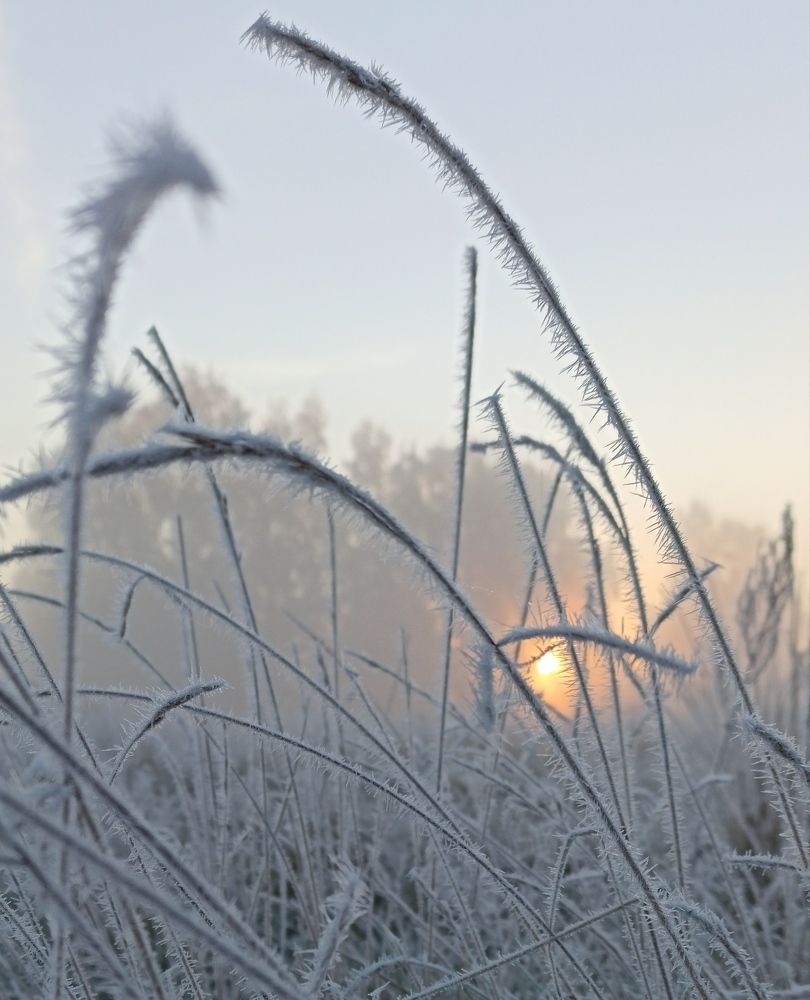 Photograph by Eлена Смирнова