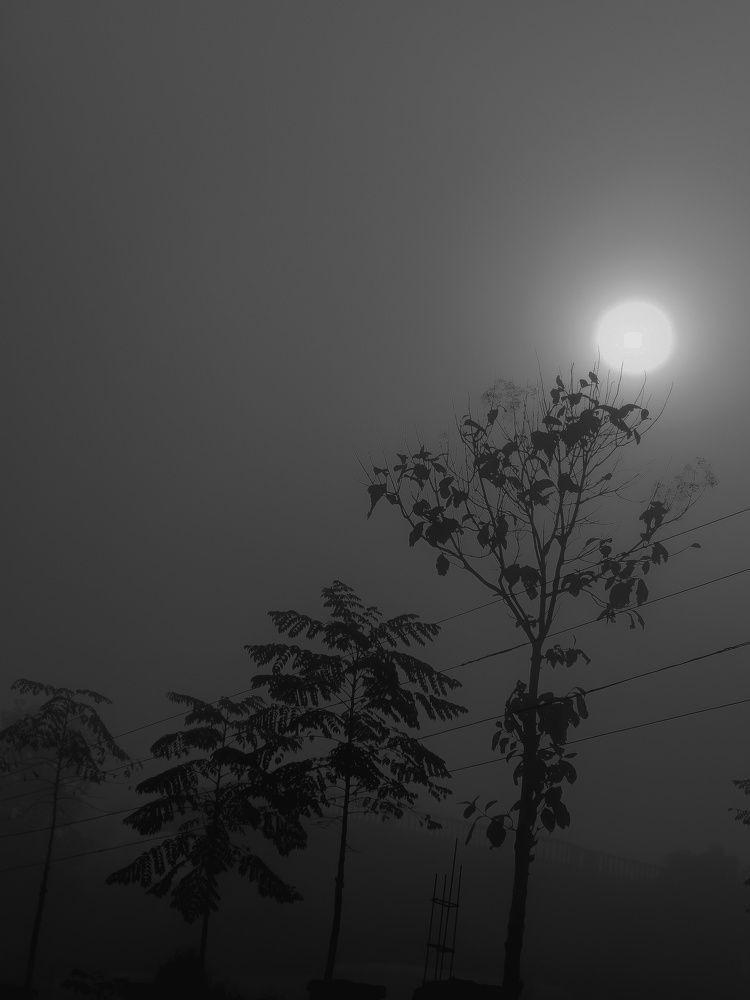 Фотография автора Rajvardhan Singh