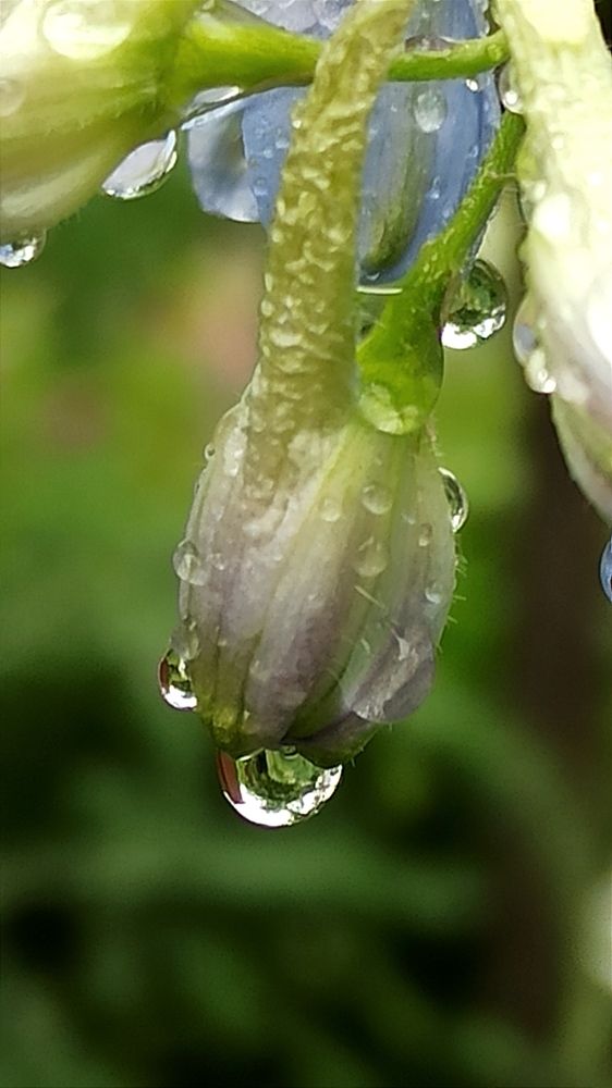 Photograph by Людмила Щуцкая