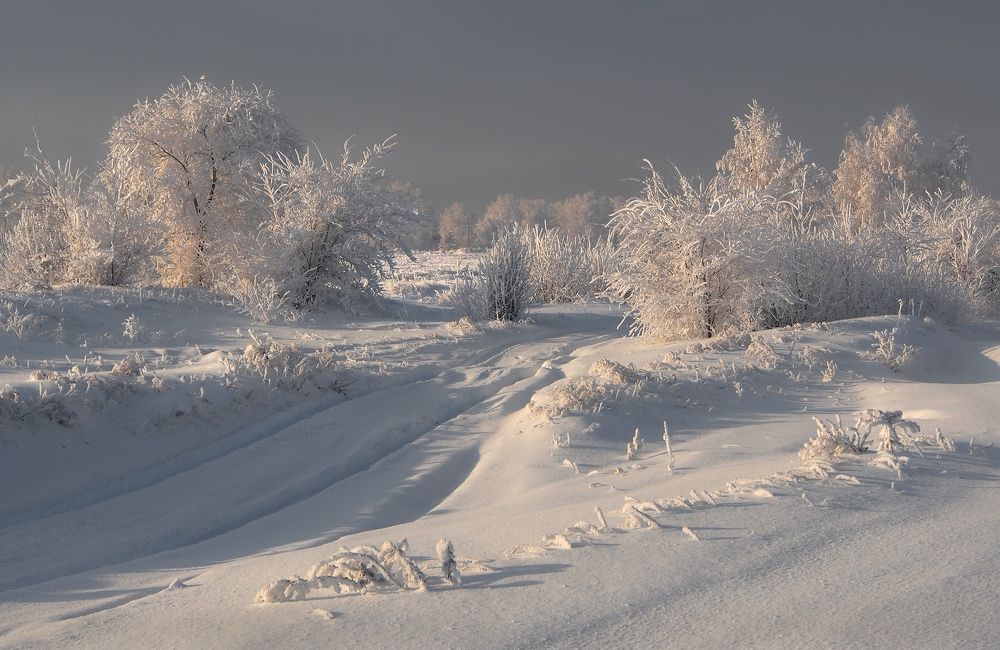 Photograph by Александр Попов