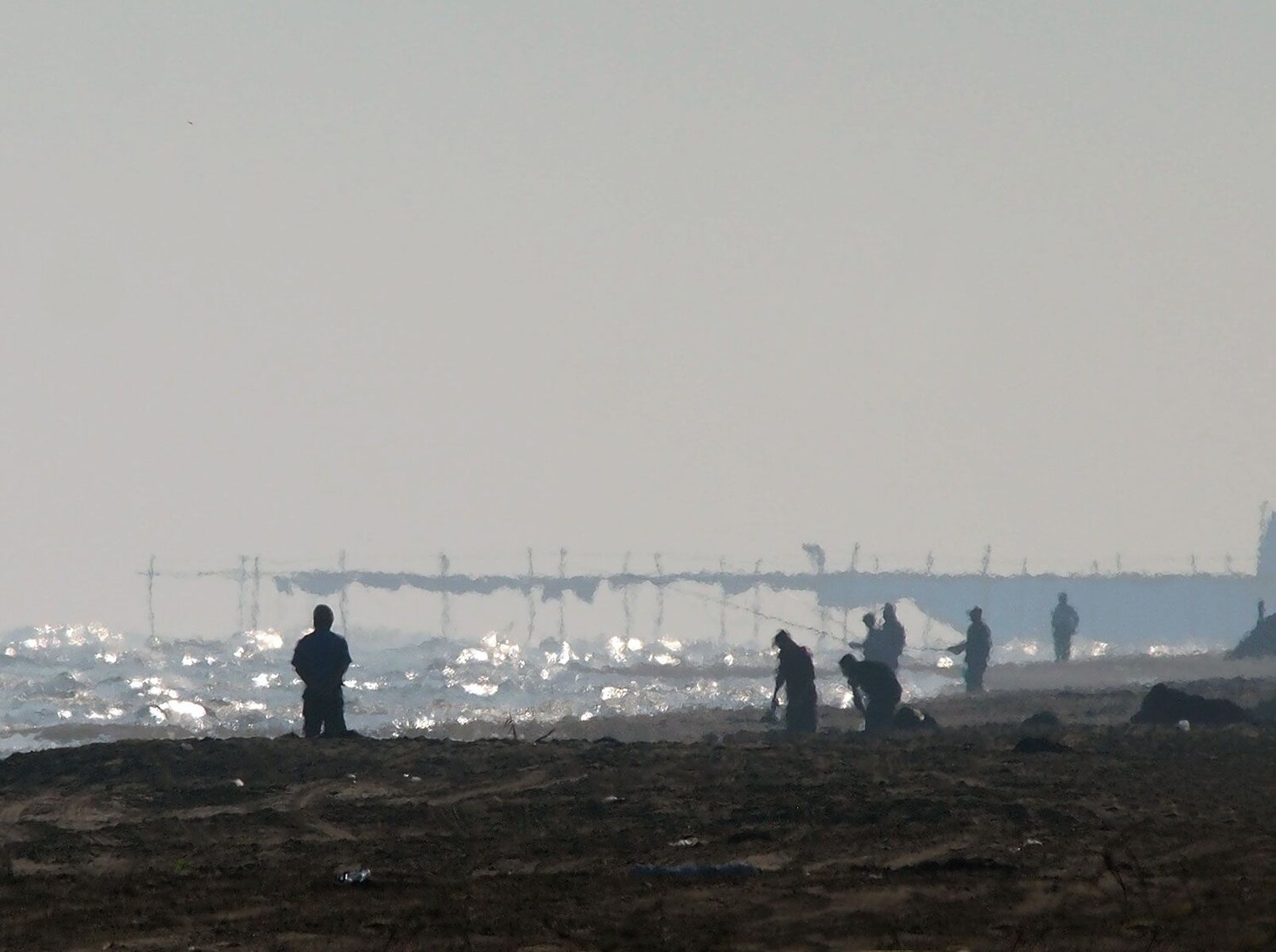 Photo #9516243