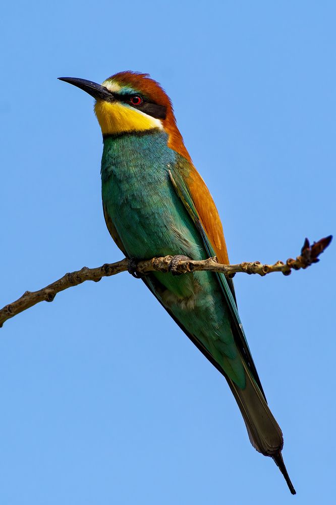 Photograph by Александр Перегудов