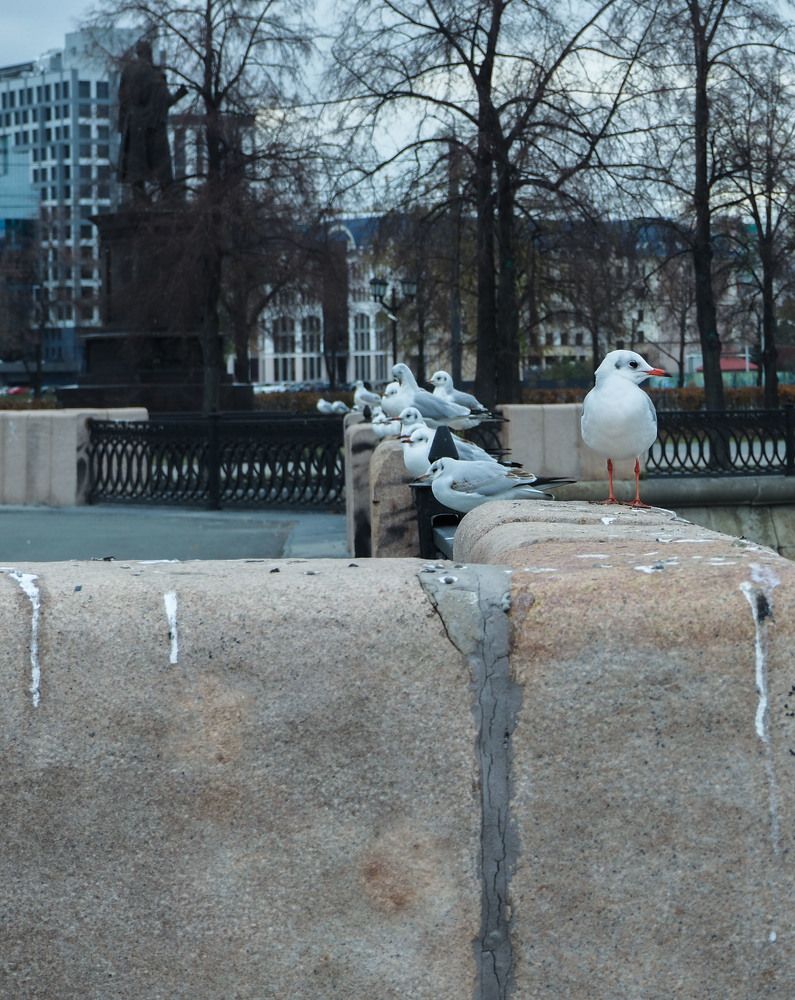 Фотография автора Дмитрий Хань