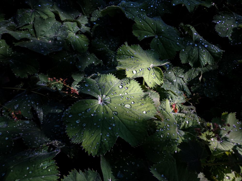 Photograph by Наталья Трофимова