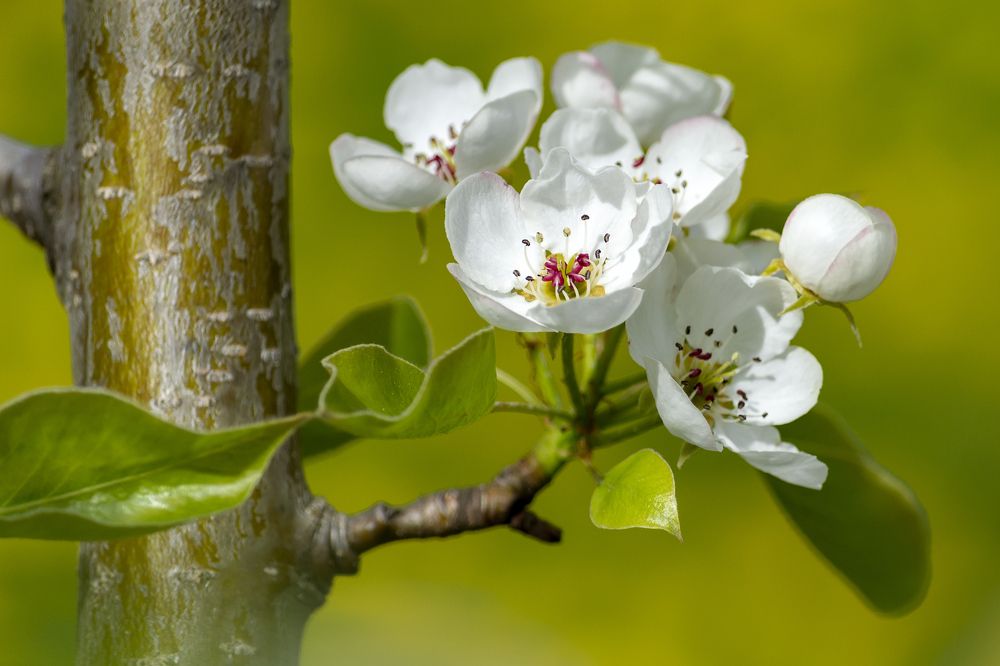 Photograph by Сергей Феофанов