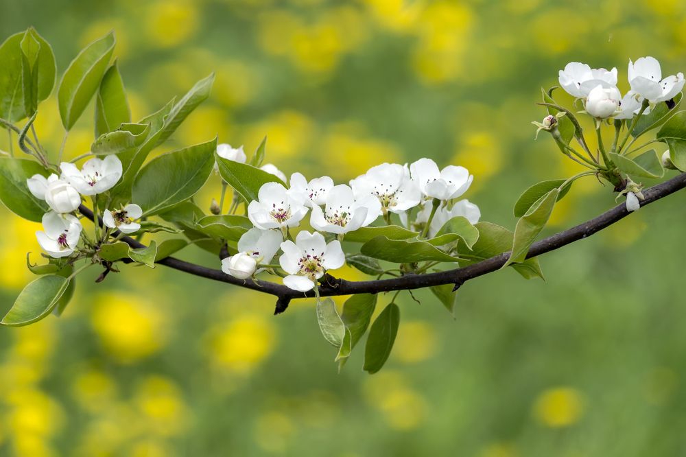 Photograph by Сергей Феофанов