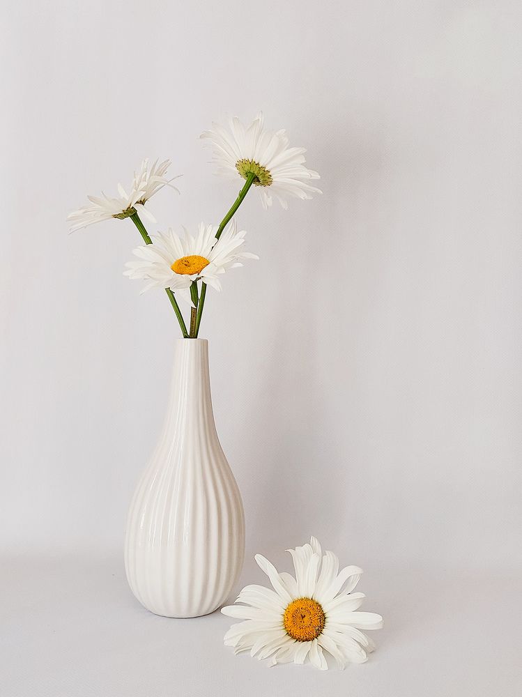 Photograph by Наталия Дроздова