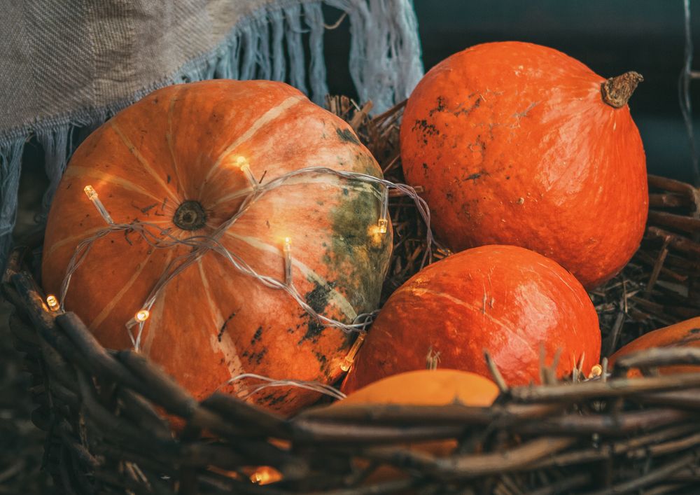 Photograph by Ольга Остапенко