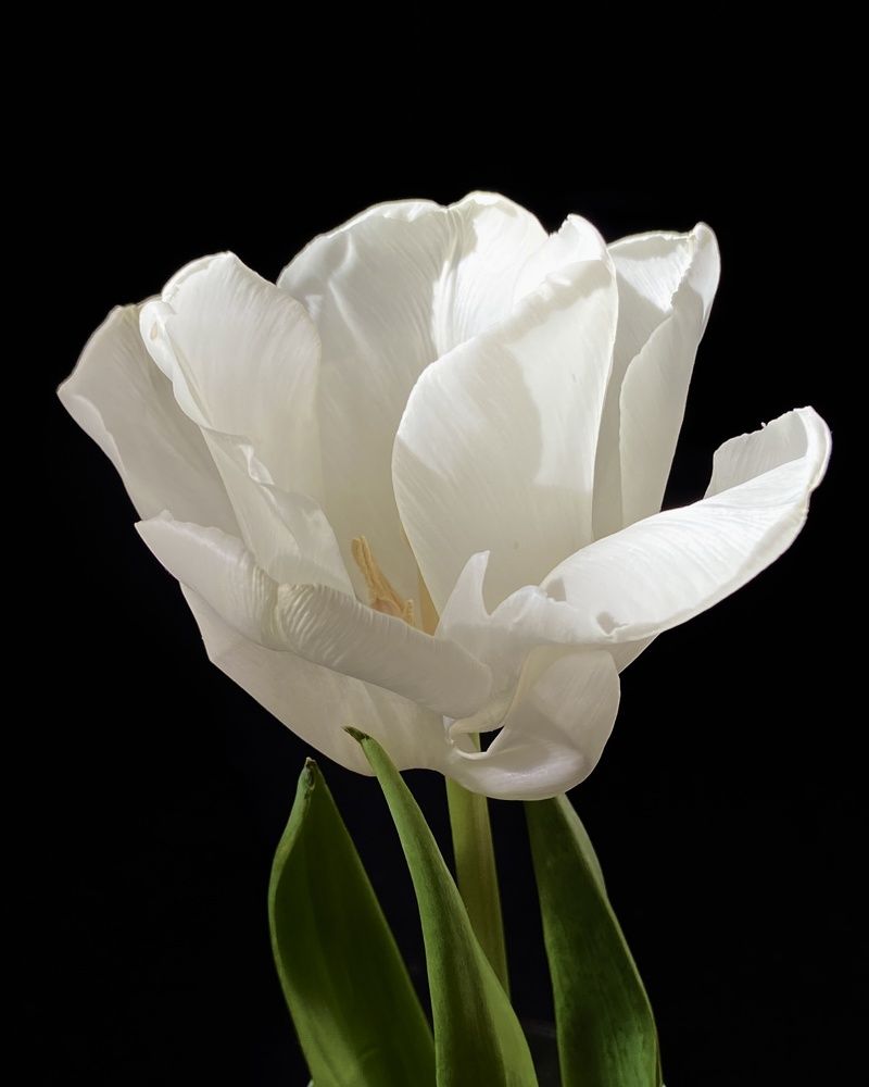 Photograph by Светлана Станевич