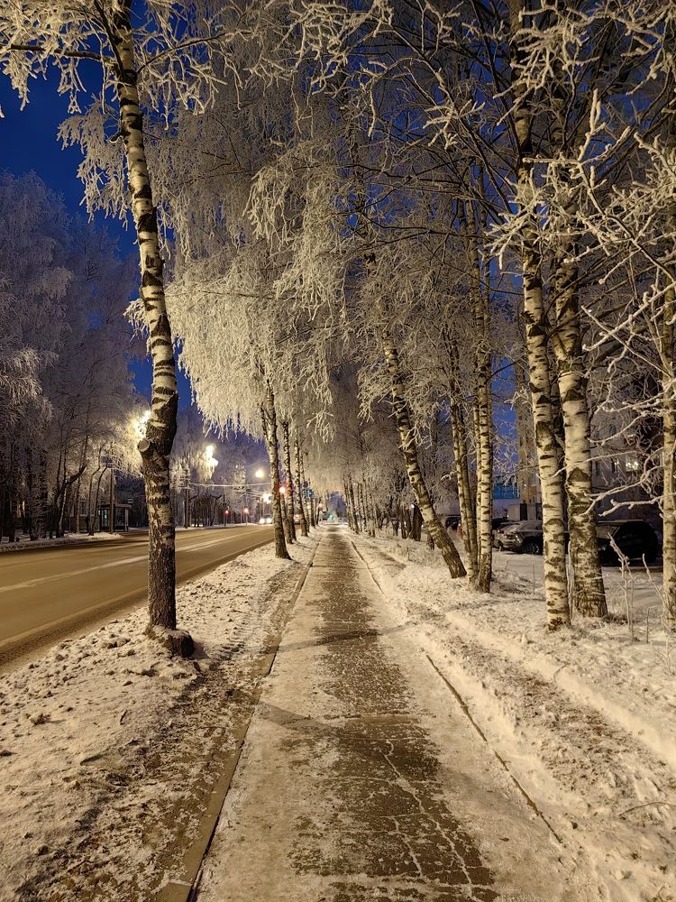 Photograph by Alexandr