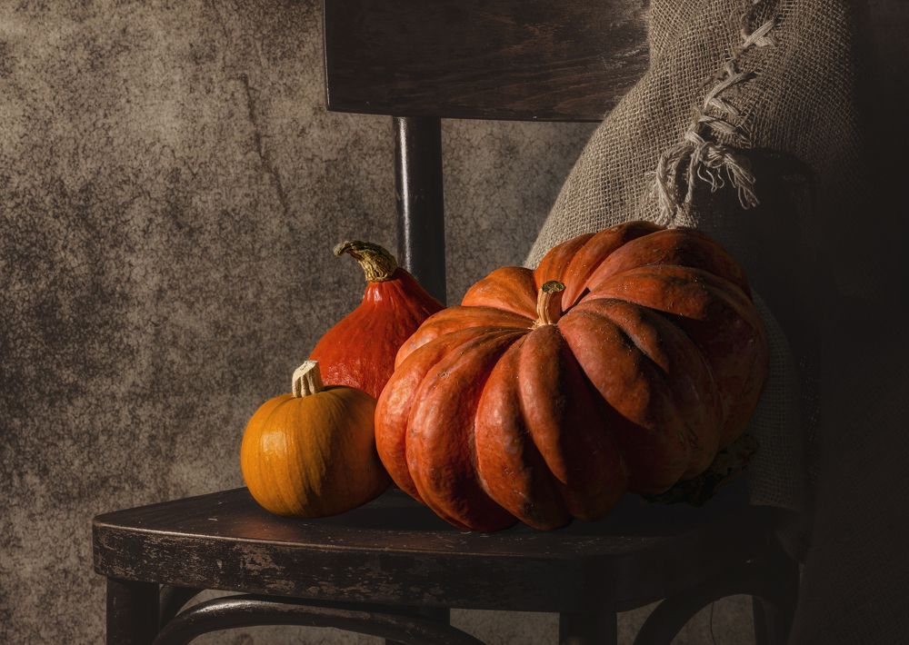 Фотография автора FATIH GONUL