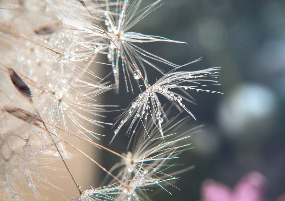 Photograph by Ольга Остапенко