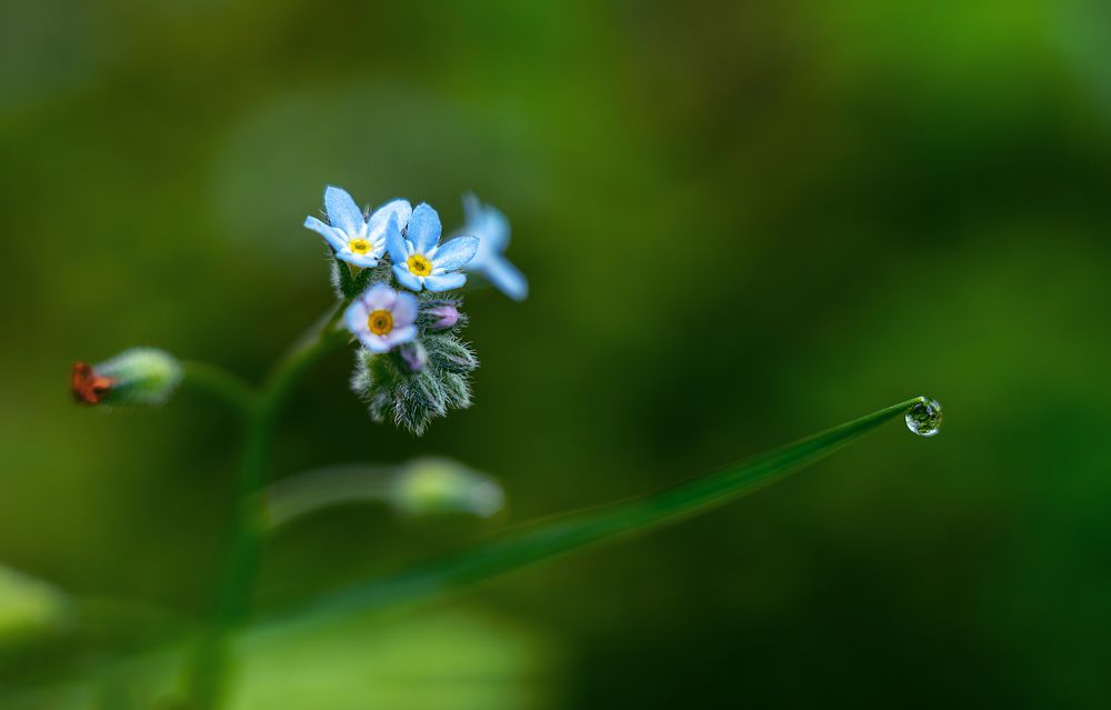 Photograph by Andrey Rut