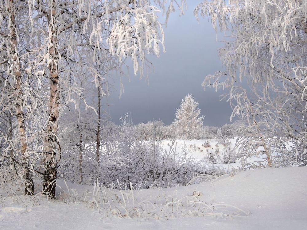 Photograph by Александр Попов