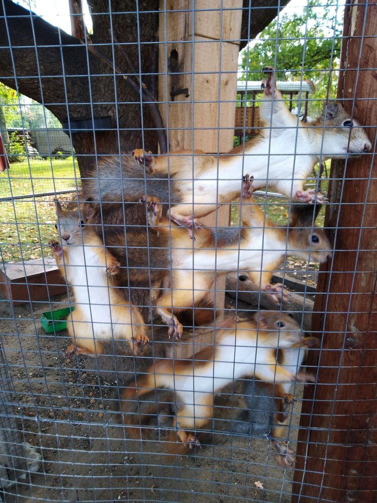 Photograph by Янина Милош