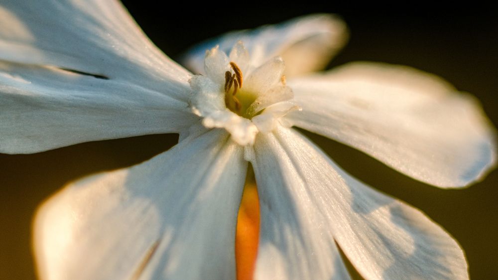 Photograph by Kostantin Belonogov