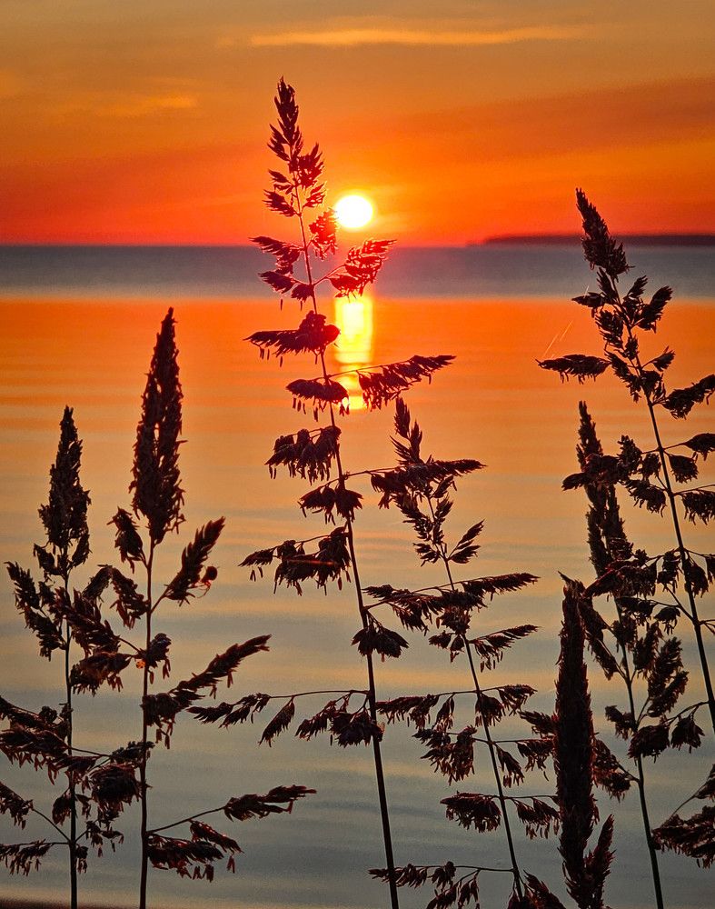 Photograph by Svetlana Dorokhova