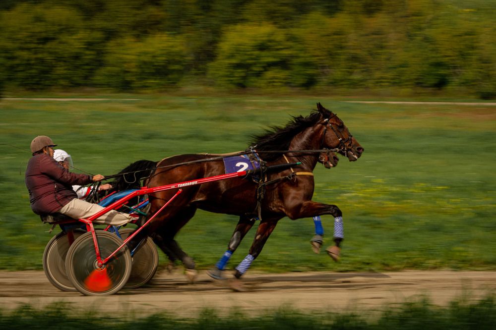 Photograph by Андрей Бобрюк