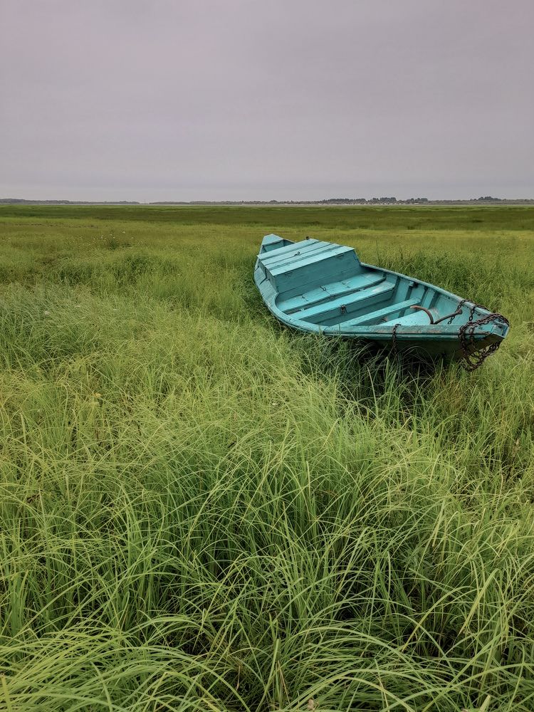 Photograph by Наталья Исаева