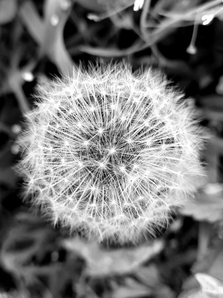 Photograph by Наталья Исаева