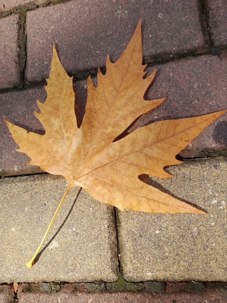 Photograph by Наталья Исаева