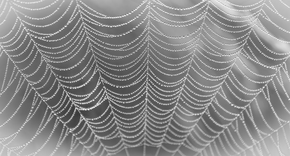 Photograph by Татьяна Романова