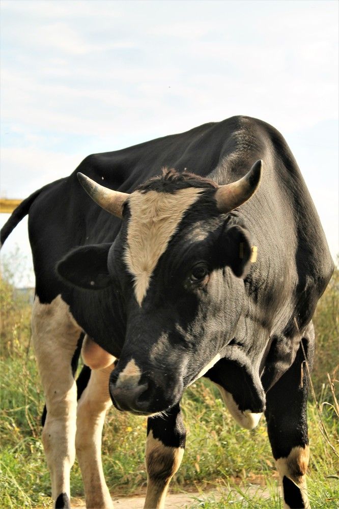 Фотография автора Таня Долгушева