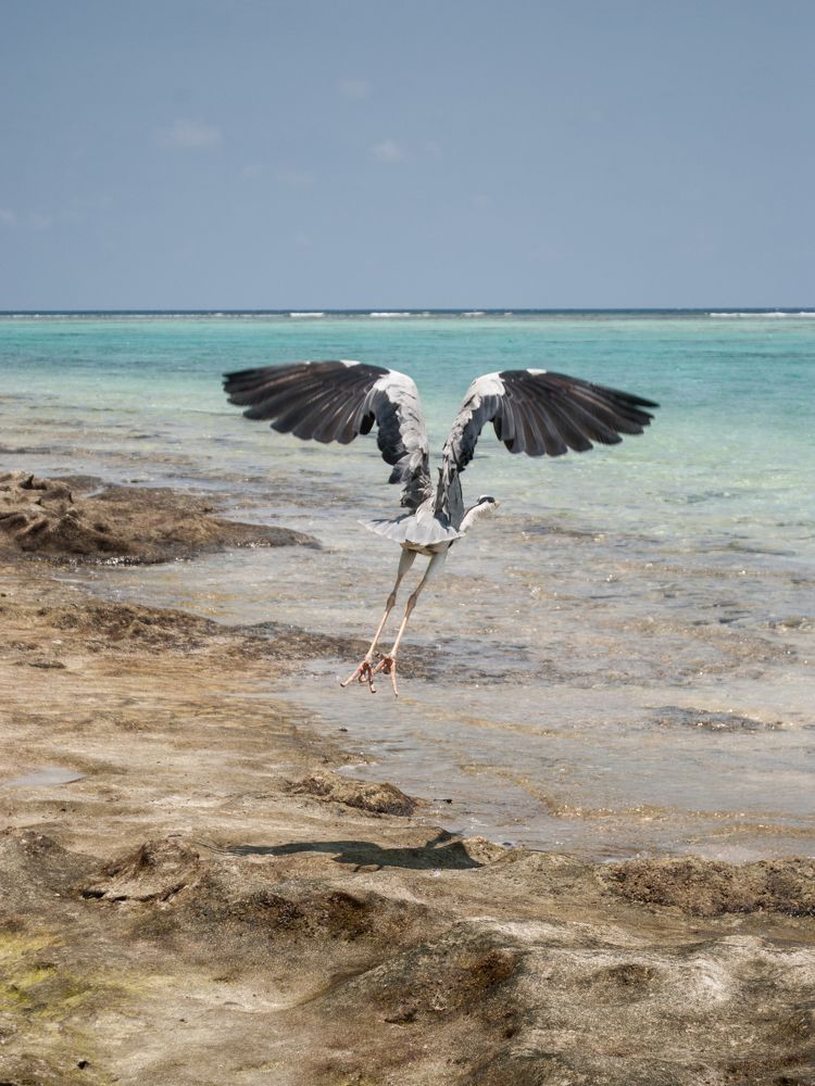 Фотография автора Алексей Самойлов