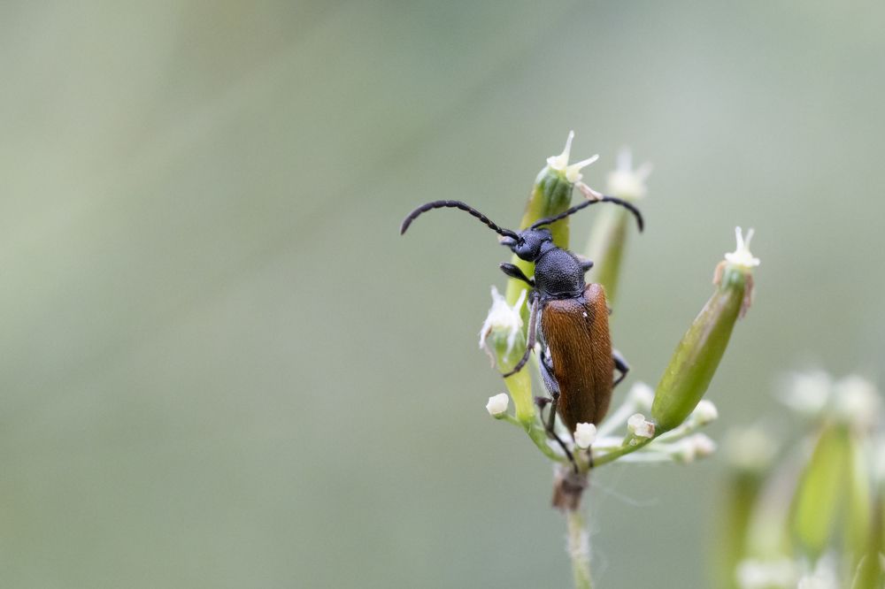 Photograph by Щепанов Дмитрий