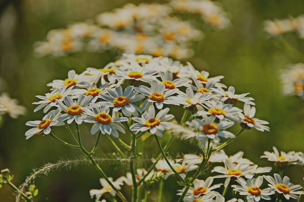 Photograph by Александр