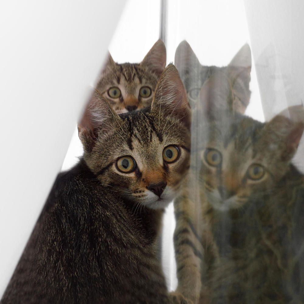 Photograph by Полина Хрол