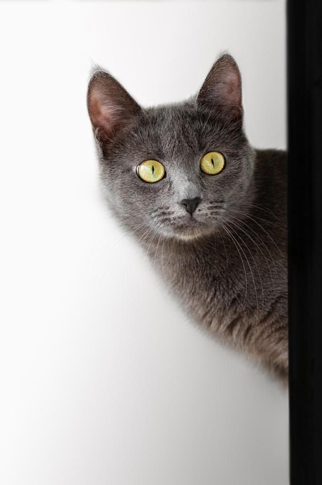 Photograph by Полина Хрол