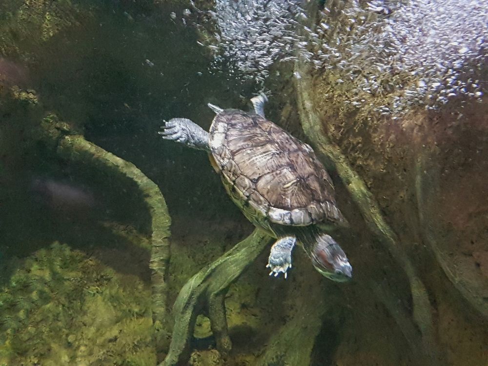 В поисках ключика