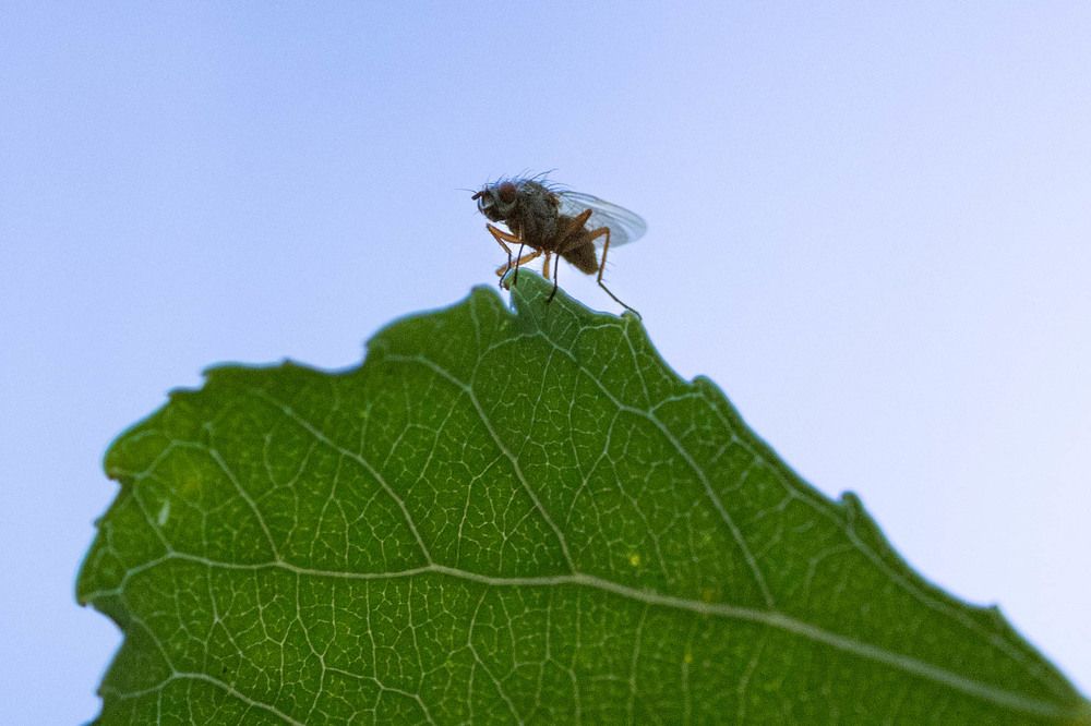 Photograph by Щепанов Дмитрий