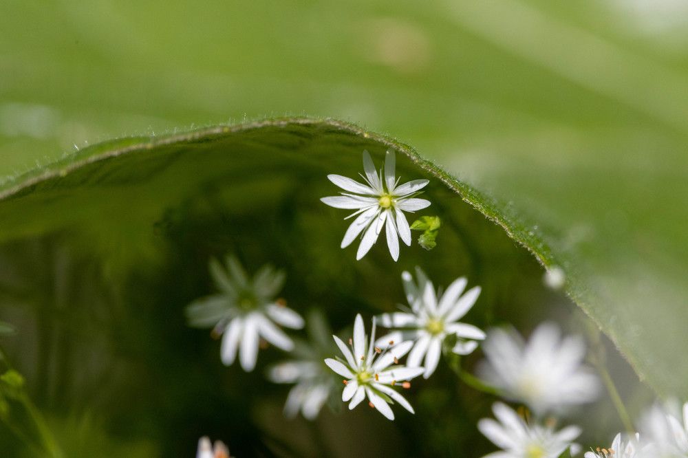 Photograph by Щепанов Дмитрий