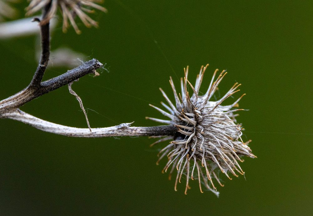 Photograph by Щепанов Дмитрий