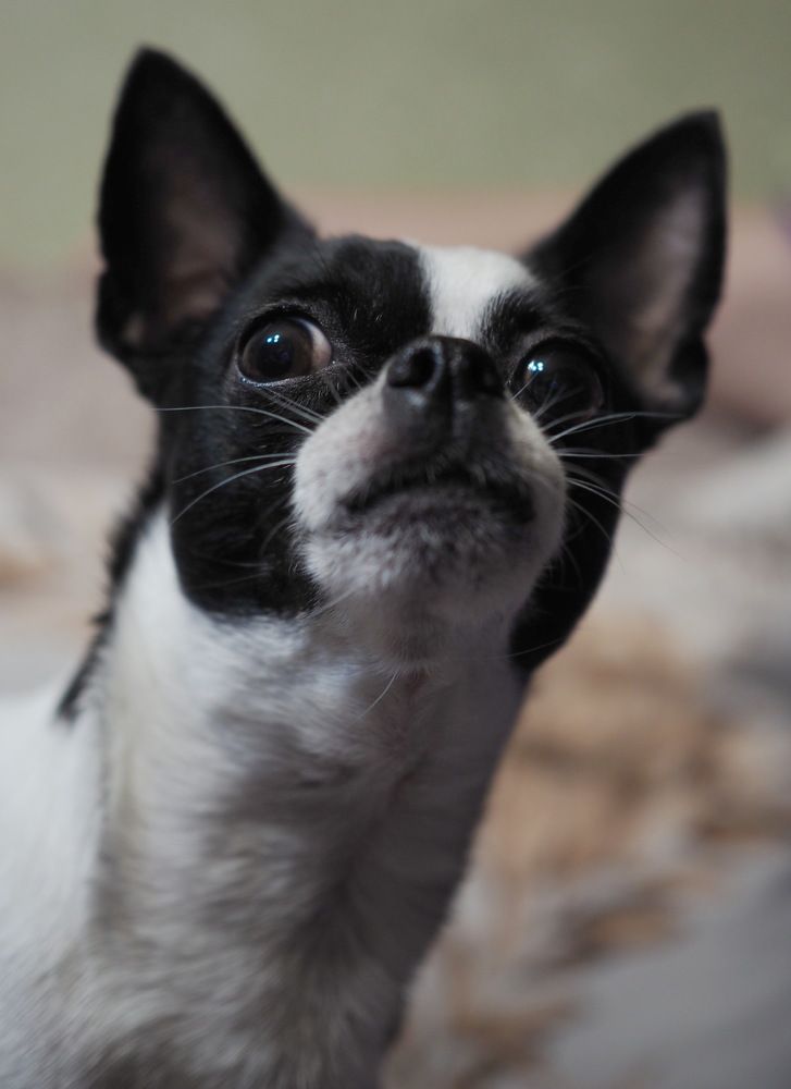 Photograph by Борис Риганов